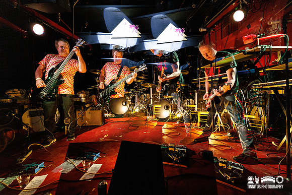 Minibeast in concert