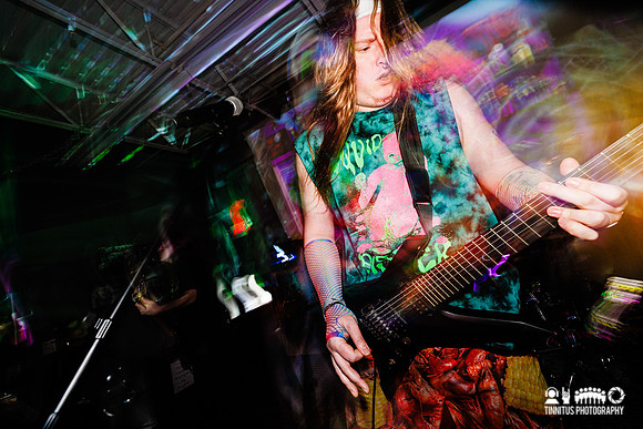 Bonginator in concert