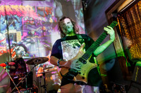 Bonginator in concert