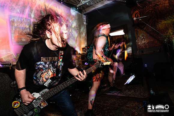 Bonginator in concert
