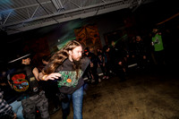 Bonginator in concert
