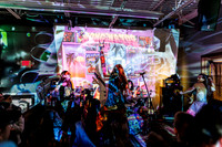 Bonginator in concert