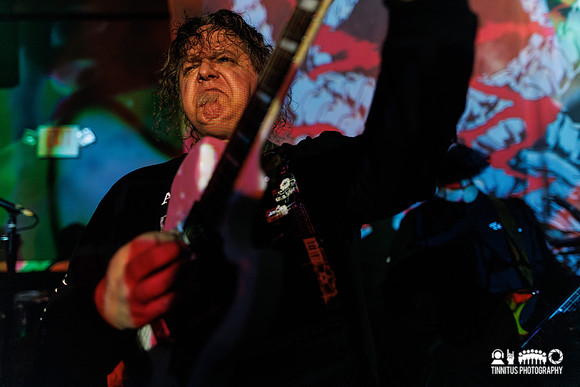 GOZU in concert