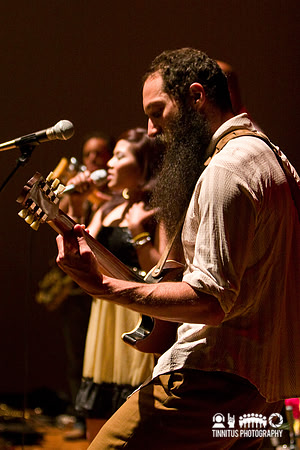 Dengue Fever in concert