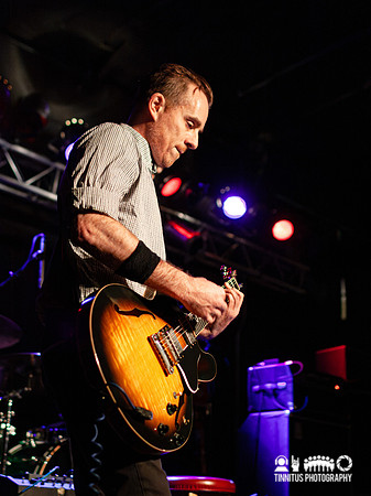 Ted Leo in concert
