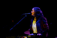 The New Pornographers in concert