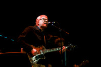 The New Pornographers in concert