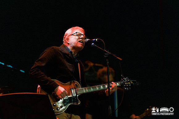 The New Pornographers in concert