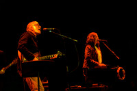 The New Pornographers in concert