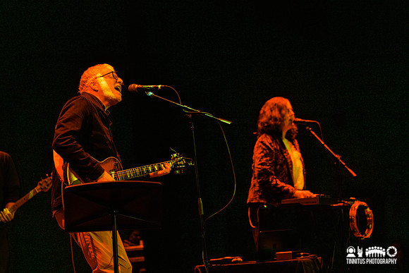 The New Pornographers in concert