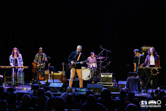 The New Pornographers in concert