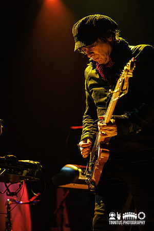 Mercury Rev in concert