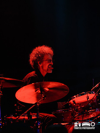 Mercury Rev in concert