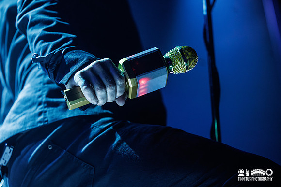 Mercury Rev in concert