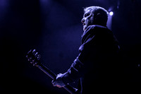 The Afghan Whigs