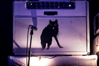 The Afghan Whigs in concert