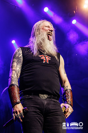 Amon Amarth in concert