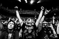 Amon Amarth in concert