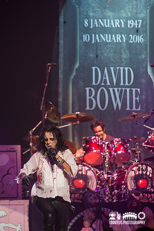 Alice Cooper in concert