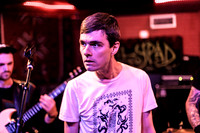 Landowner in concert