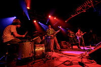 Lily Seabird in concert
