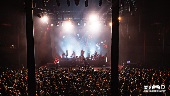Green Lung in concert