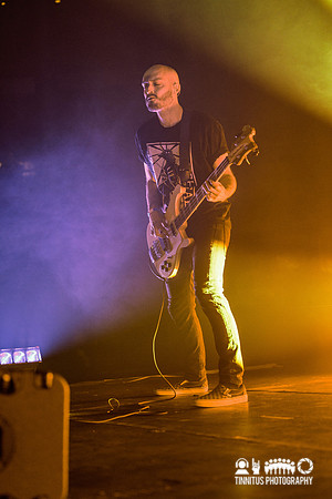 Green Lung in concert