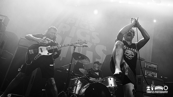 Pigs Pigs Pigs Pigs Pigs Pigs Pigs in concert