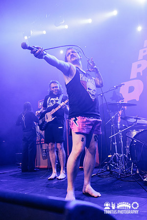 Pigs Pigs Pigs Pigs Pigs Pigs Pigs in concert