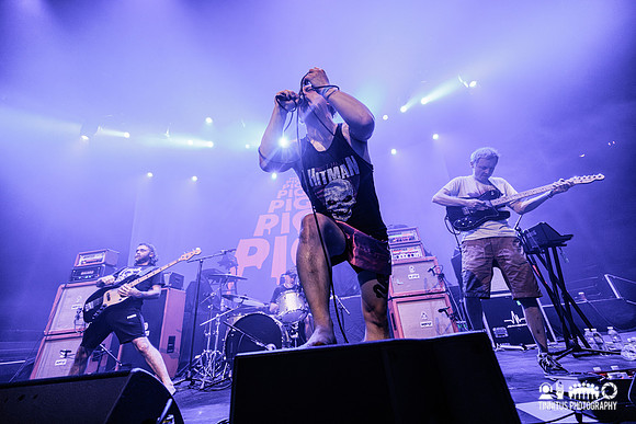 Pigs Pigs Pigs Pigs Pigs Pigs Pigs in concert