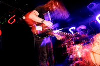 Bismut in concert