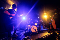 Bismut in concert