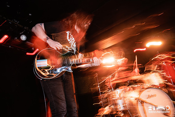 Bismut in concert