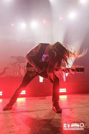 Green Lung in concert