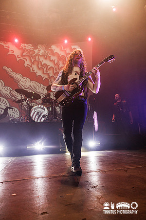 Green Lung in concert