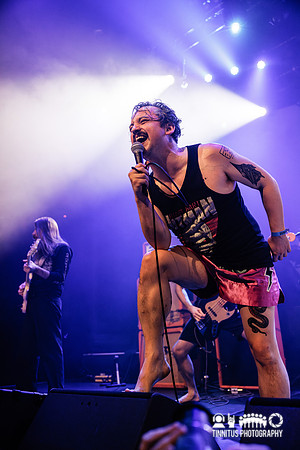 Pigs Pigs Pigs Pigs Pigs Pigs Pigs in concert