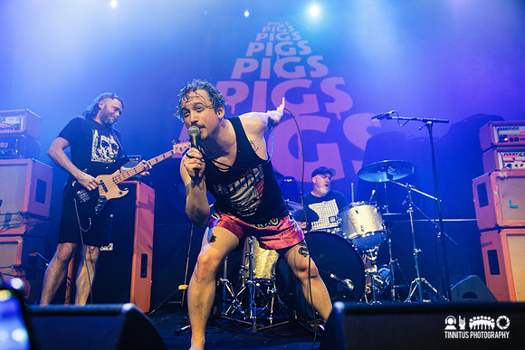 Pigs Pigs Pigs Pigs Pigs Pigs Pigs in concert