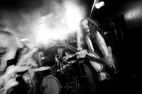 Teiger in concert