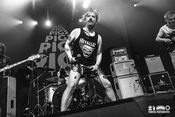 Pigs Pigs Pigs Pigs Pigs Pigs Pigs in concert