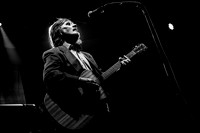 The Mountain Goats