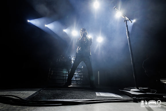 Bush in concert