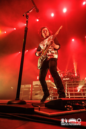 Bush in concert