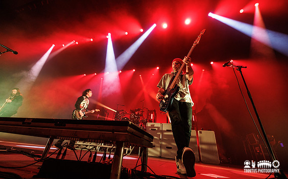 Bush in concert