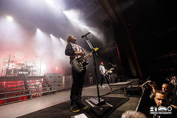 Bush in concert