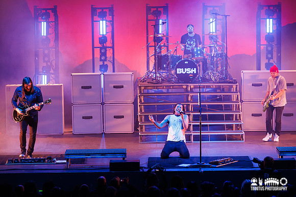 Bush in concert