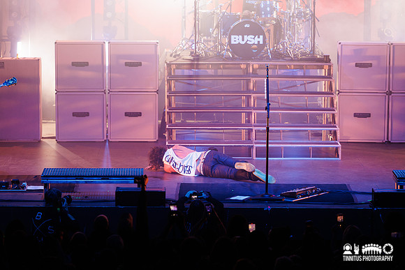 Bush in concert