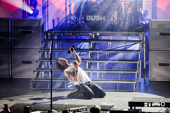 Bush in concert