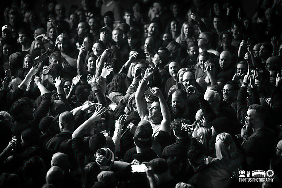 Bush in concert