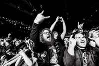Pig Destroyer in concert
