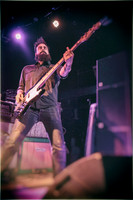 Gozu in concert